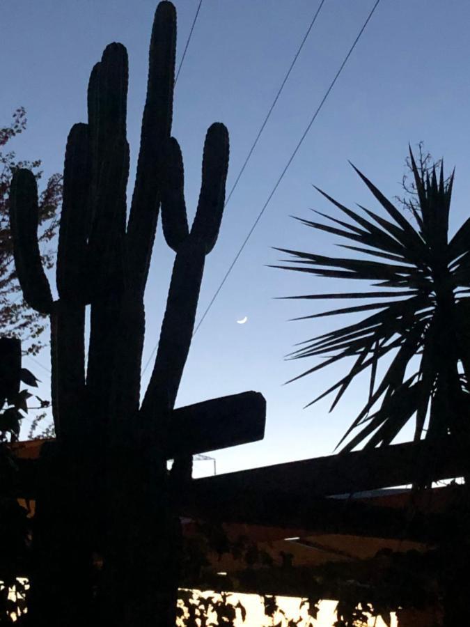 La Casita Del Cactus - Casa De Campo Con Piscina Alcalá de Guadaira Exterior foto
