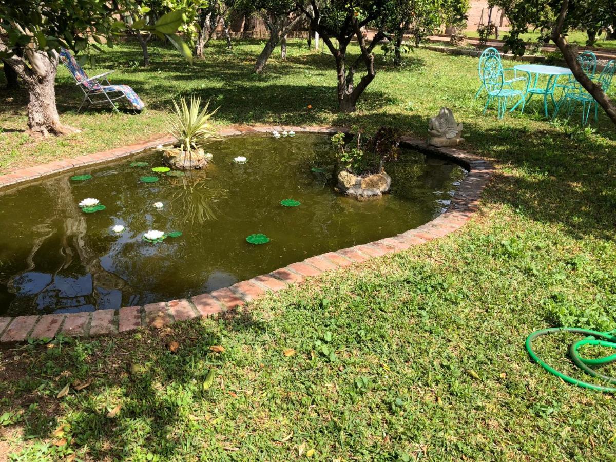 La Casita Del Cactus - Casa De Campo Con Piscina Alcalá de Guadaira Exterior foto