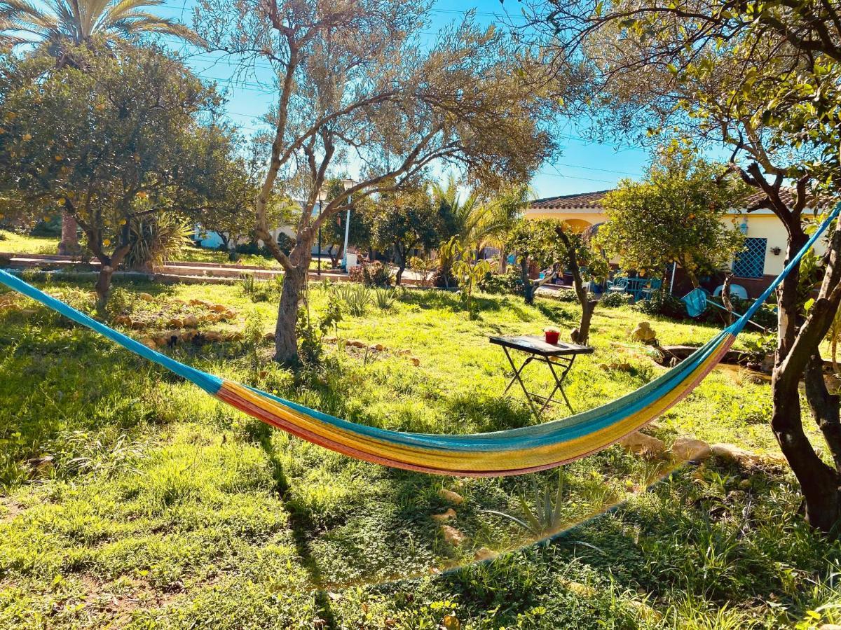 La Casita Del Cactus - Casa De Campo Con Piscina Alcalá de Guadaira Exterior foto