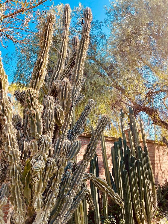 La Casita Del Cactus - Casa De Campo Con Piscina Alcalá de Guadaira Exterior foto