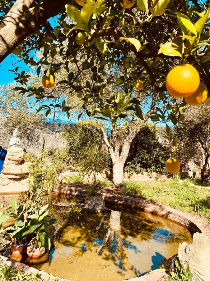 La Casita Del Cactus - Casa De Campo Con Piscina Alcalá de Guadaira Exterior foto